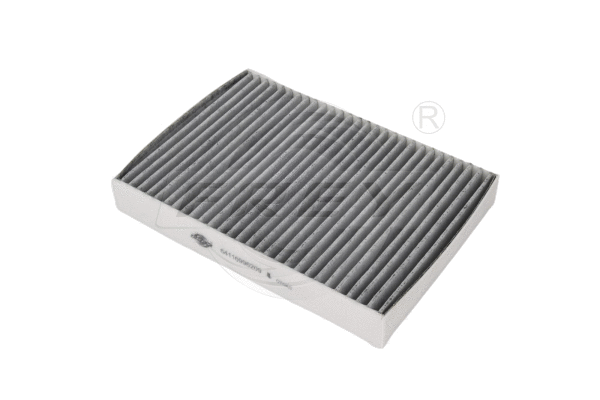 Air Filter (803111401)