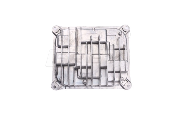 Ballast, gas discharge lamp (781901301)