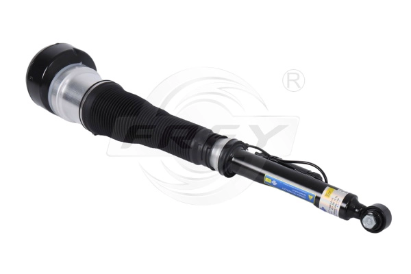 Air Suspension Strut (750405201)