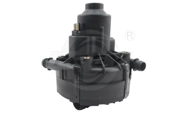 Secondary Air Pump (706900101)