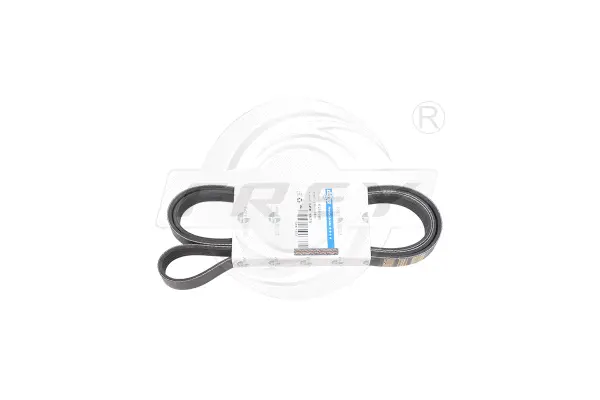 V-Ribbed Belt (821604301)