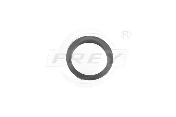 Gasket, timing case cover (795511101)