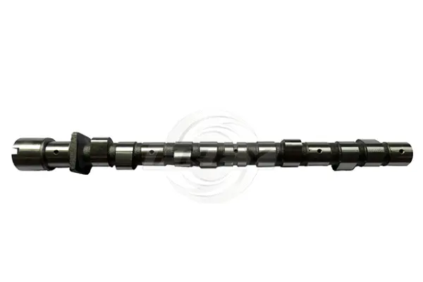 Camshaft (813200201)