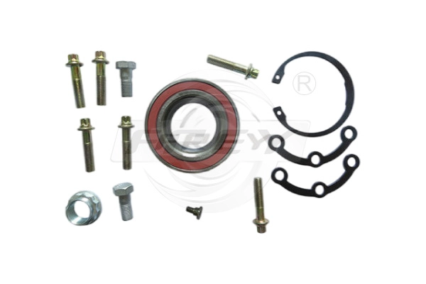 Wheel Bearing Kit (765601601)
