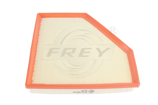 Air Filter (803112101)