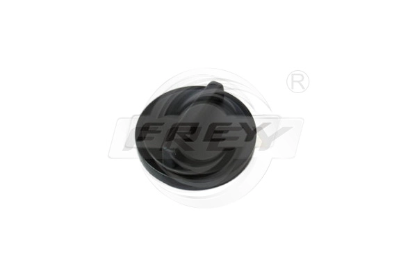 Sealing Cap, oil filler neck (801200301)