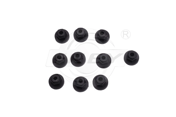 Nut (797313901)