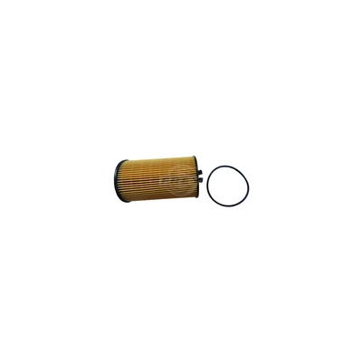 Oil Filter (709108001)