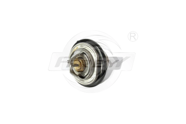 Thermostat, coolant (723106701)