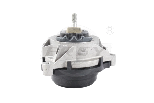 Mounting, engine (802921901)