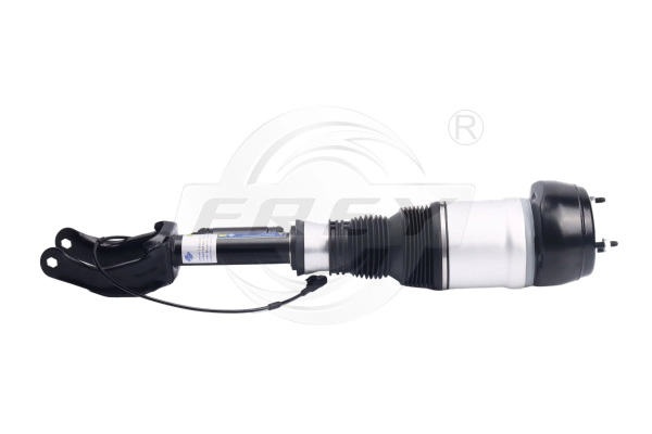 Shock Absorber (750433201)