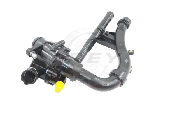 Thermostat, coolant (723106301)