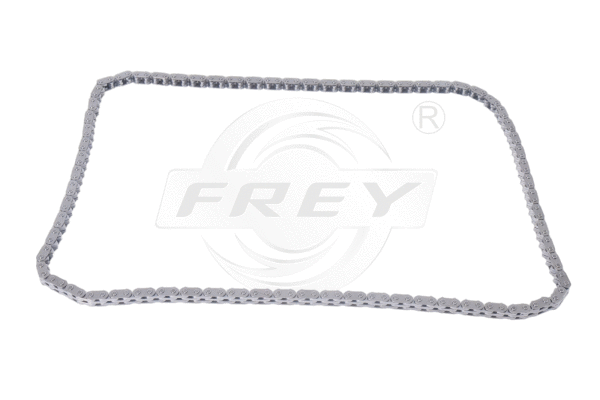 Timing Chain (706505801)