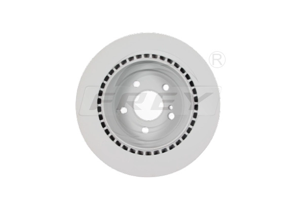 Brake Disc (745206901)