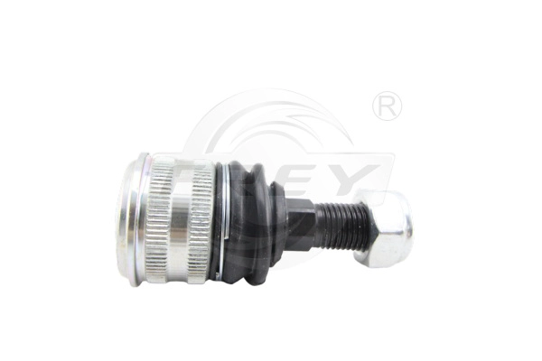 Ball Joint (750012601)