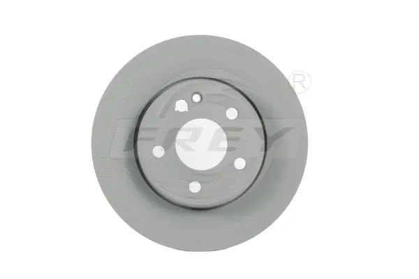 Brake Disc (745207901)