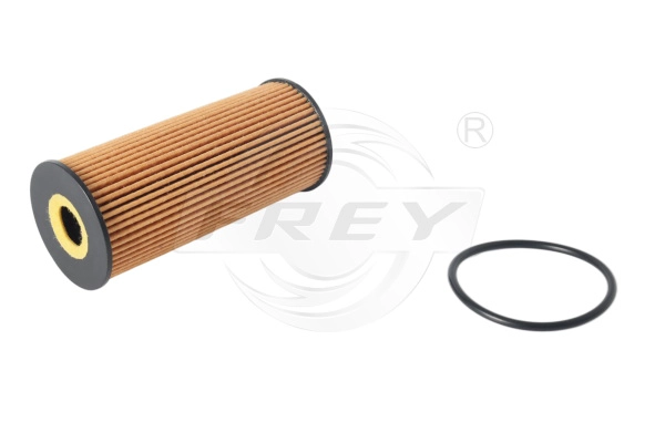 Oil Filter (809108601)