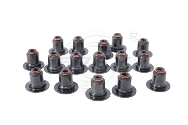 Seal Set, valve stem (801503301)