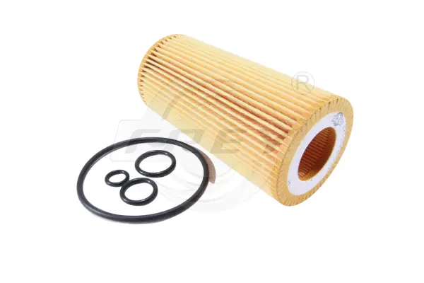 Oil Filter (709106201)