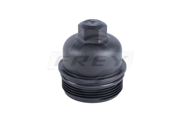 Cap, oil filter housing (801201701)