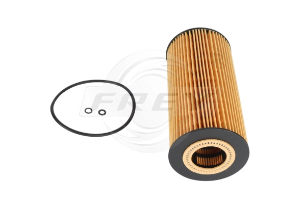 Oil Filter (709101101)