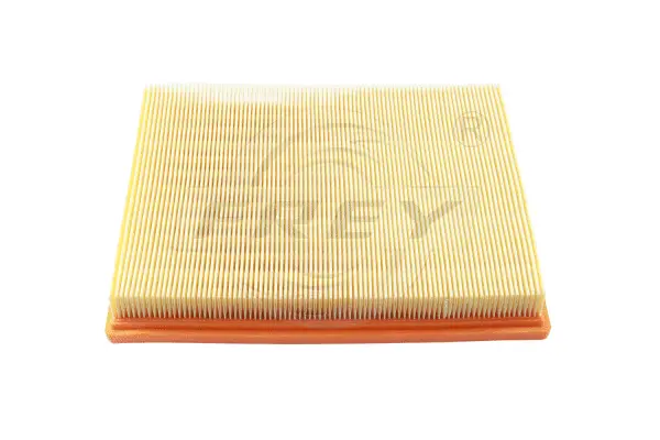 Air Filter (803107701)