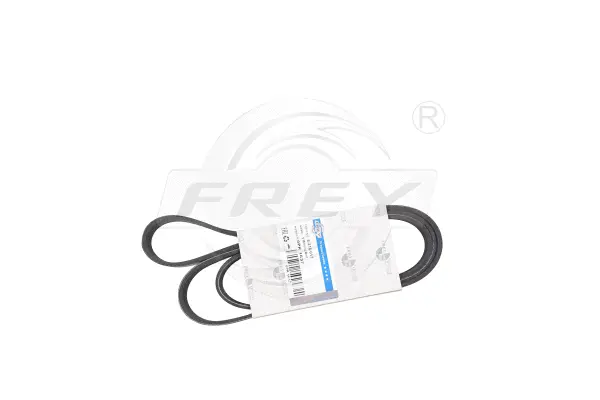 V-Ribbed Belt (821601701)