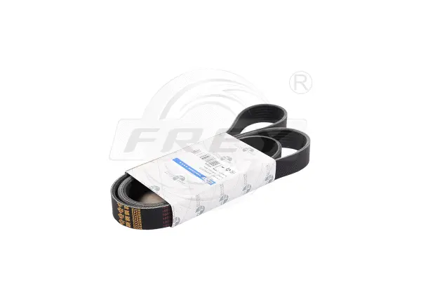 V-Ribbed Belt (821607701)