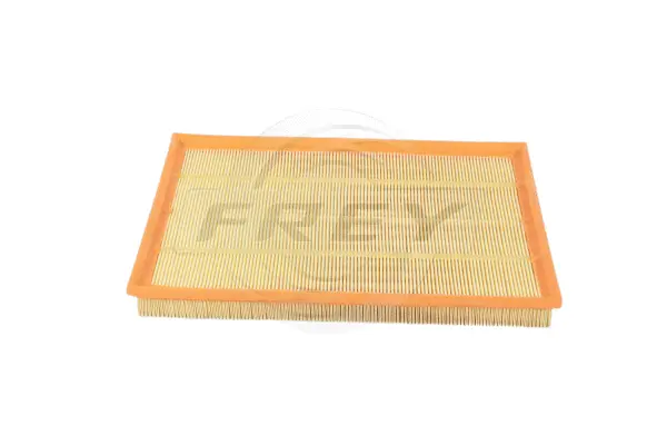 Air Filter (803102001)