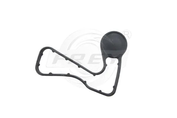 Gasket, timing case cover (700512201)