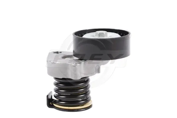 Belt Tensioner, V-ribbed belt (721202201)