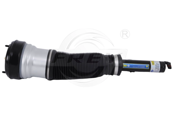 Air Suspension Strut (750405601)