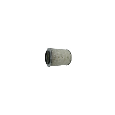 Air Filter (703100301)