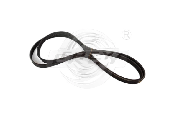 V-Ribbed Belt (721605001)
