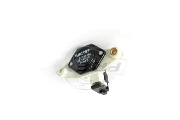 Alternator Regulator (718800301)