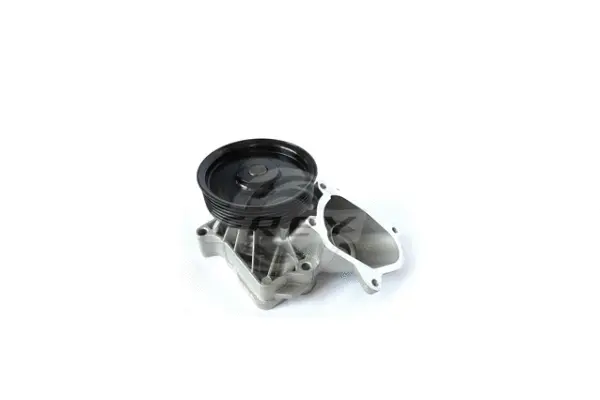 Water Pump, engine cooling (823001901)