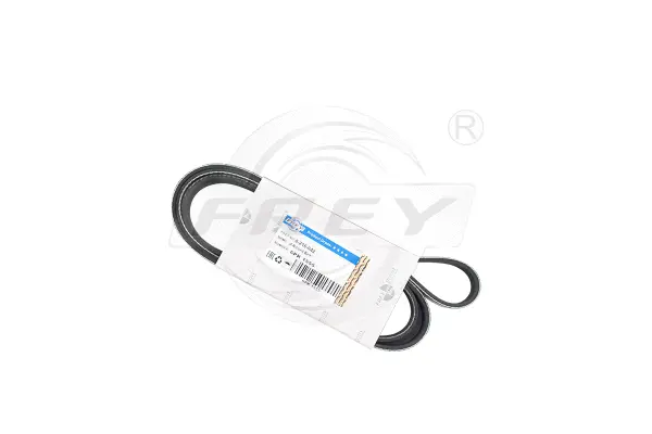 V-Ribbed Belt (821604201)