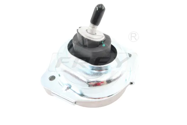 Mounting, engine (802924801)