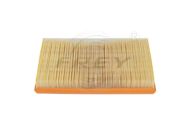 Air Filter (803103601)