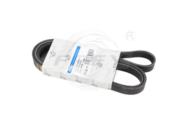 V-Ribbed Belt (821604701)