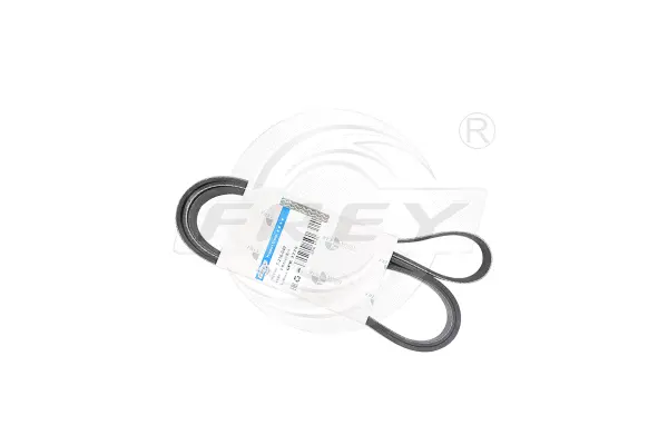 V-Ribbed Belt (721604901)