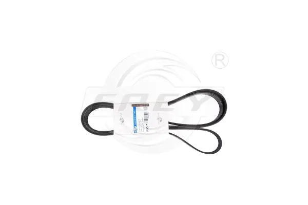 V-Ribbed Belt (721601713)