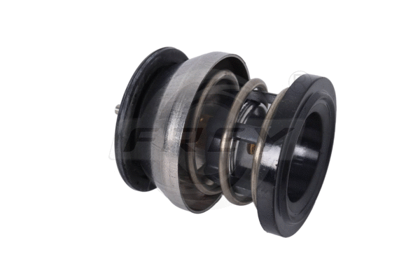 Thermostat, coolant (823125701)