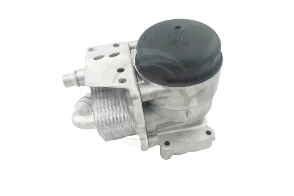 Oil Cooler, engine oil (809509701)