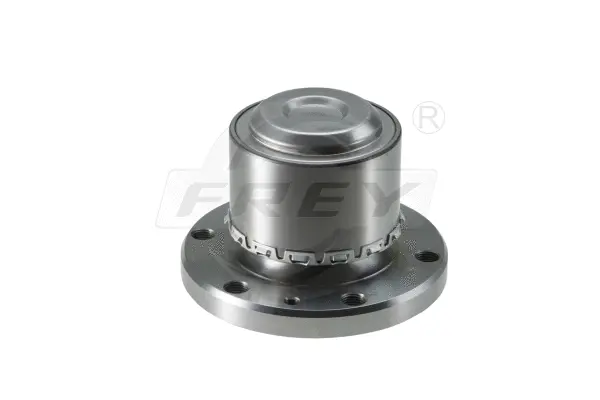 Wheel Bearing Kit (765701101)