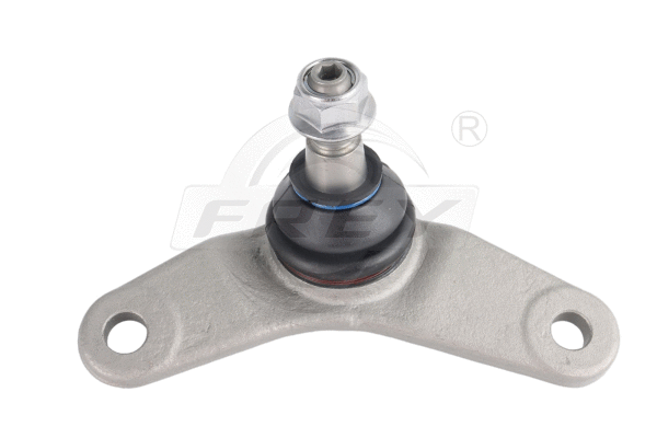 Ball Joint (850003101)