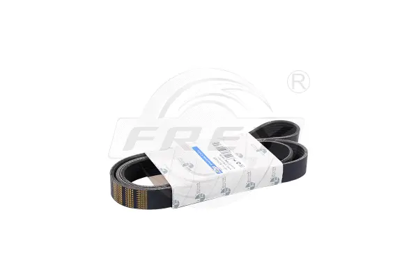 V-Ribbed Belt (821600501)