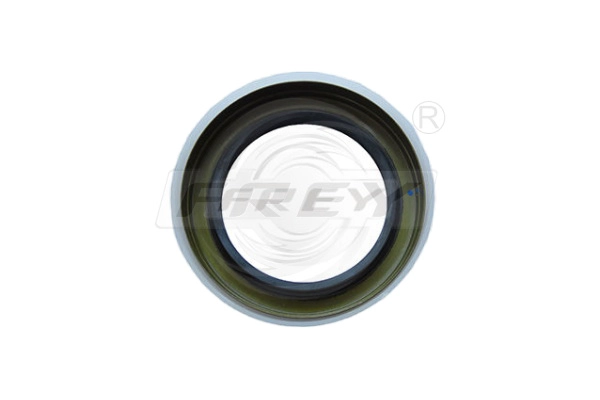 Oil Seal, automatic transmission (795501601)