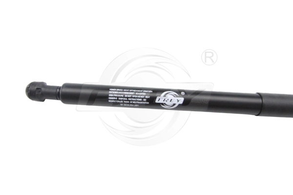 Gas Spring, boot/cargo area (890814601)