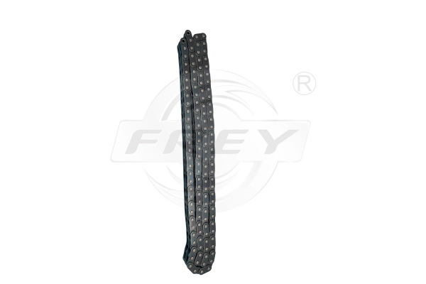 Timing Chain (701900301)